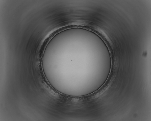 X0000092240923200710051235