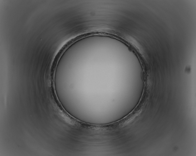 X0000092240924200710051235