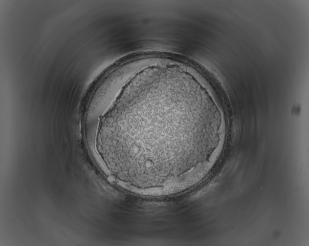 X0000092240925200710051235