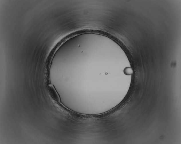 X0000092240926200710051235