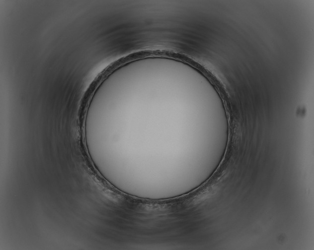 X0000092240927200710051235