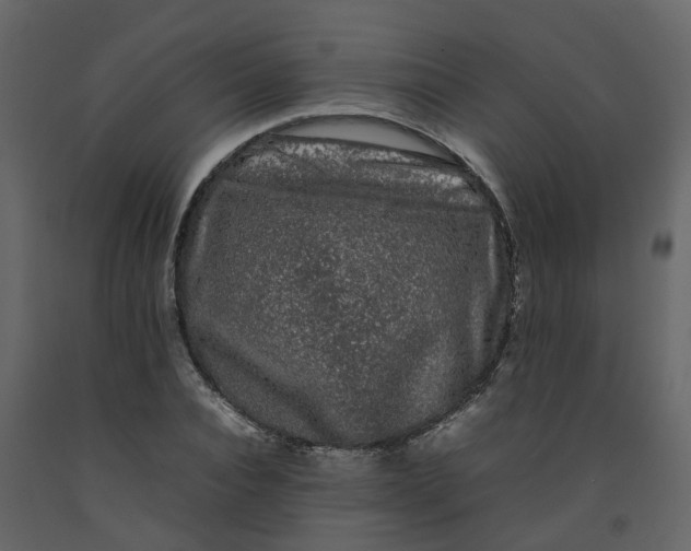 X0000092240928200710051235