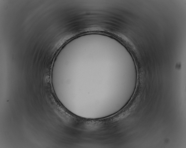 X0000092240929200710051235