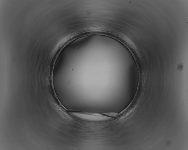 X0000092240930200710051235