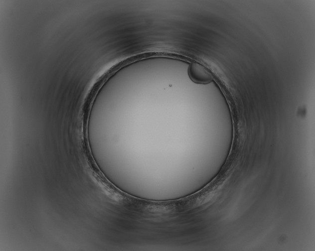 X0000092240931200710051235