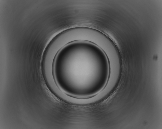 X0000092240932200710051236