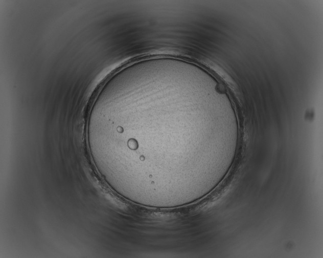 X0000092240933200710051236