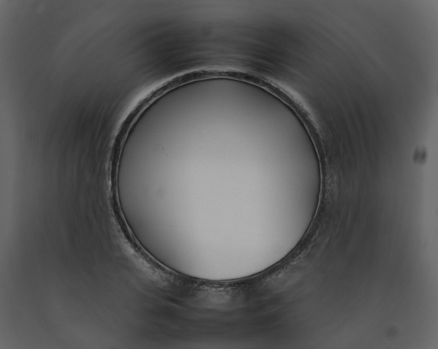 X0000092240935200710051236