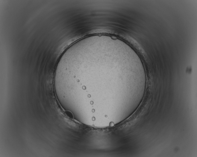 X0000092240937200710051236