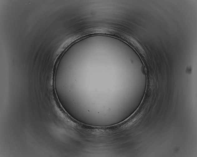 X0000092240938200710051236