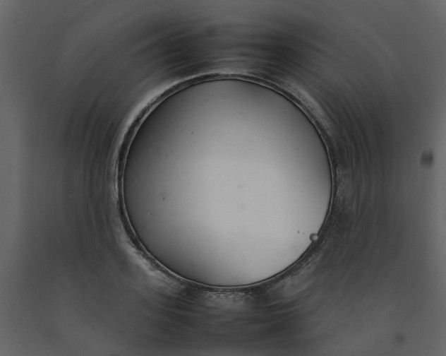 X0000092240939200710051236