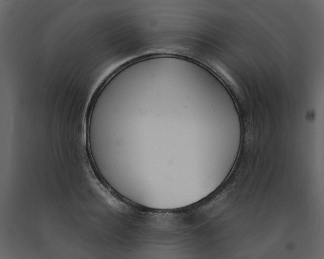 X0000092240940200710051236