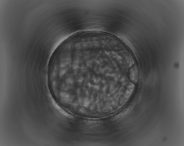 X0000092240941200710051236