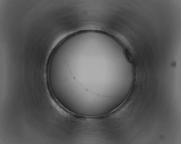 X0000092240942200710051236