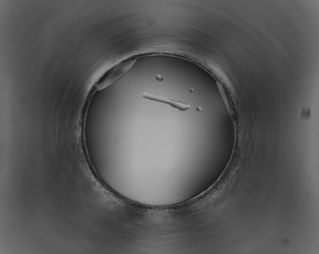 X0000092240944200710051236