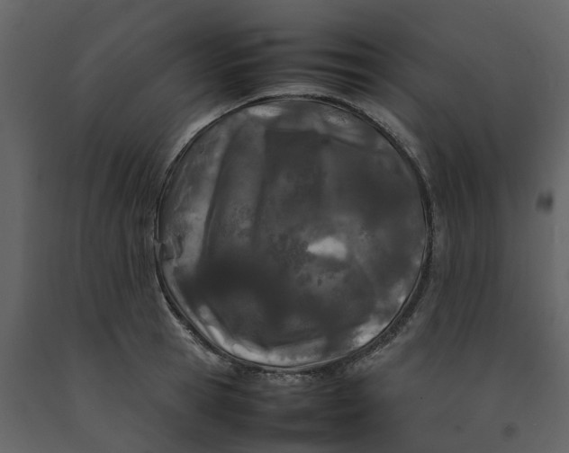 X0000092240945200710051236