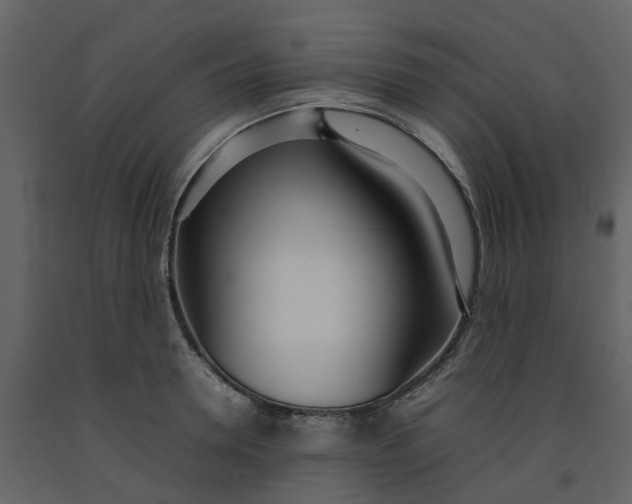 X0000092240946200710051236