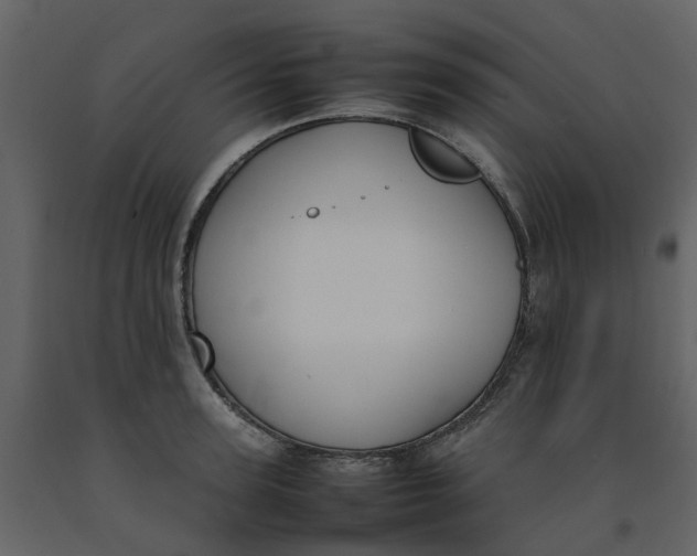 X0000092240947200710051236