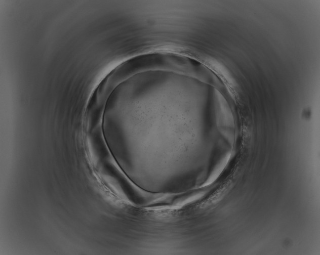 X0000092240948200710051236