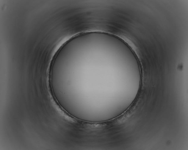 X0000092240949200710051236