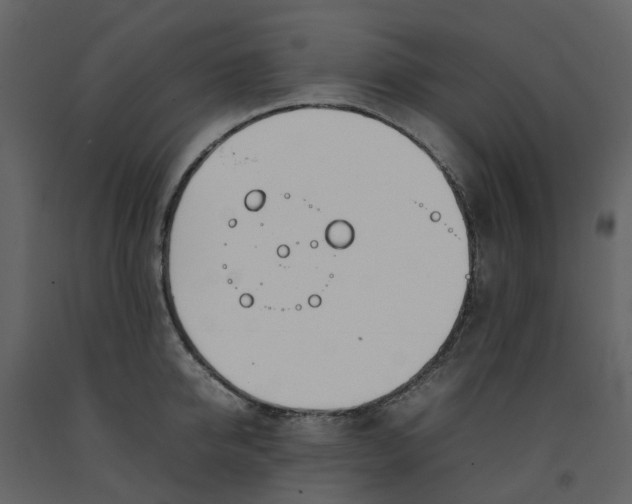 X0000092240950200710051236