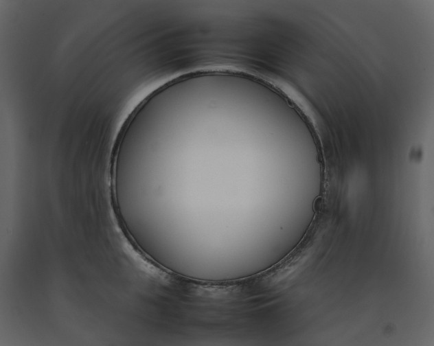 X0000092240951200710051236