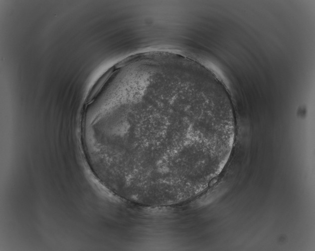 X0000092240952200710051236