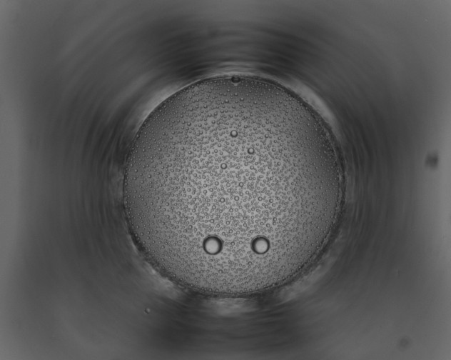 X0000092240953200710051236