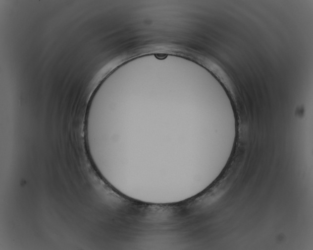 X0000092240954200710051236