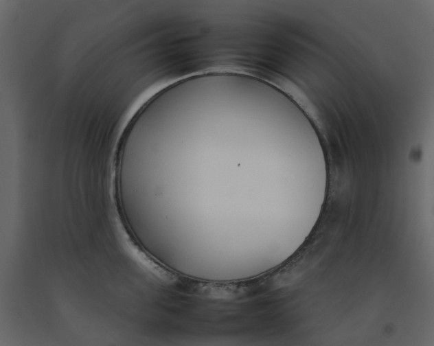 X0000092240955200710051236