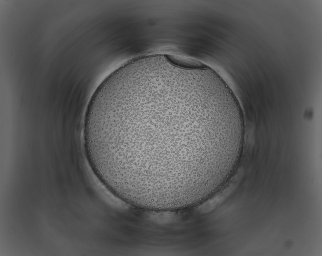 X0000092240957200710051236