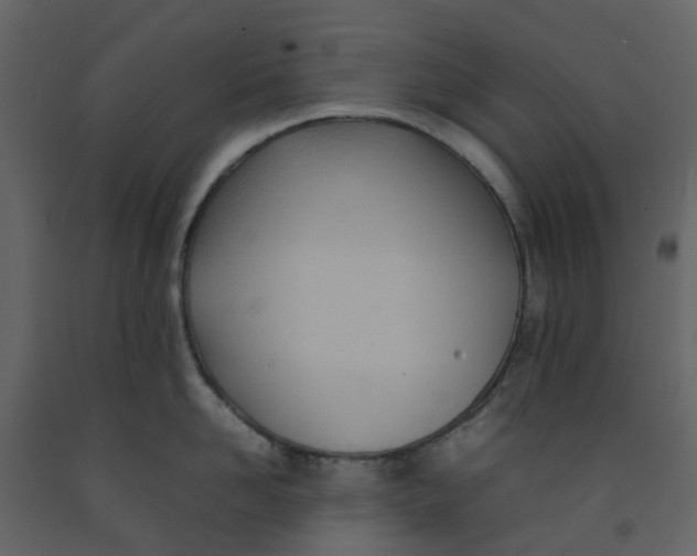 X0000092240958200710051236