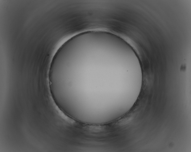 X0000092240959200710051236