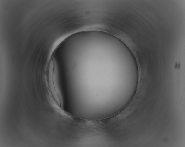 X0000092240960200710051236