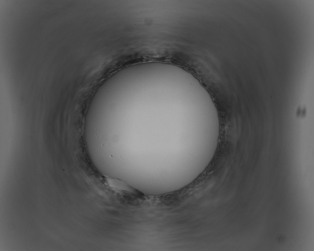 X0000092240961200710051235