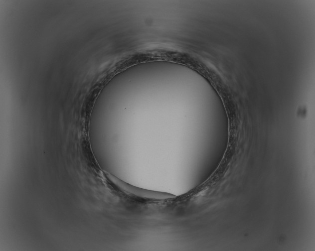 X0000092240965200710051235