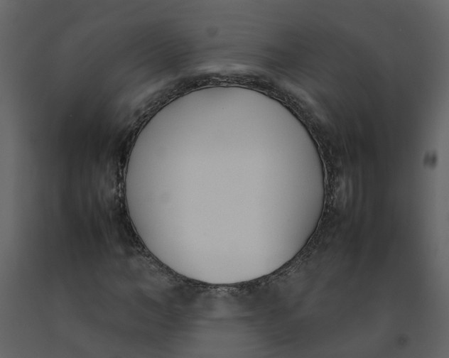 X0000092240966200710051235