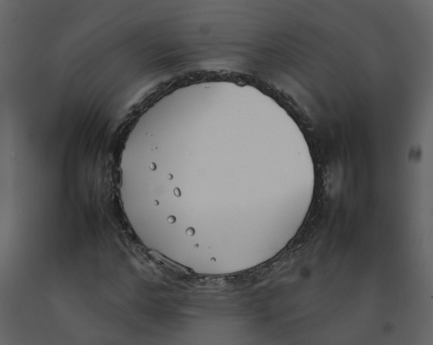 X0000092240968200710051235