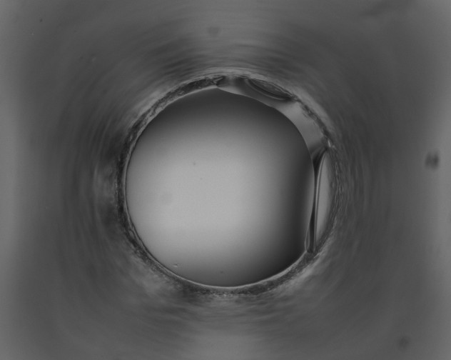 X0000092240969200710051235