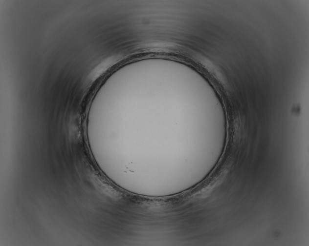 X0000092240970200710051235