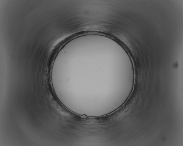 X0000092240971200710051235