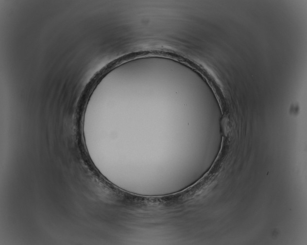 X0000092240975200710051235