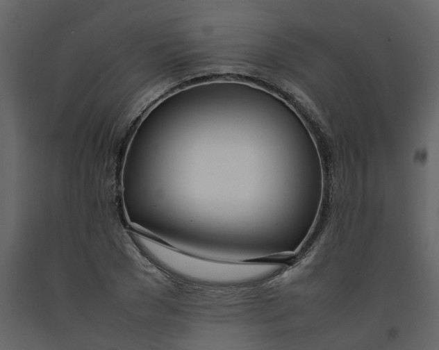 X0000092240977200710051235