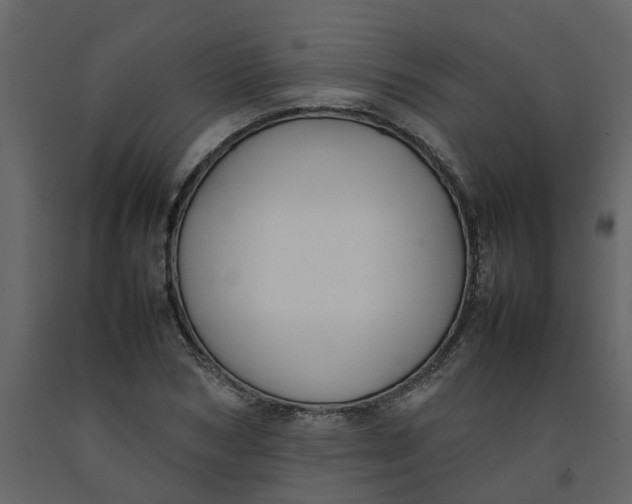 X0000092240978200710051235