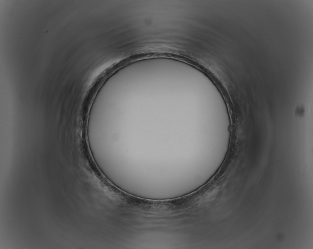 X0000092240979200710051235