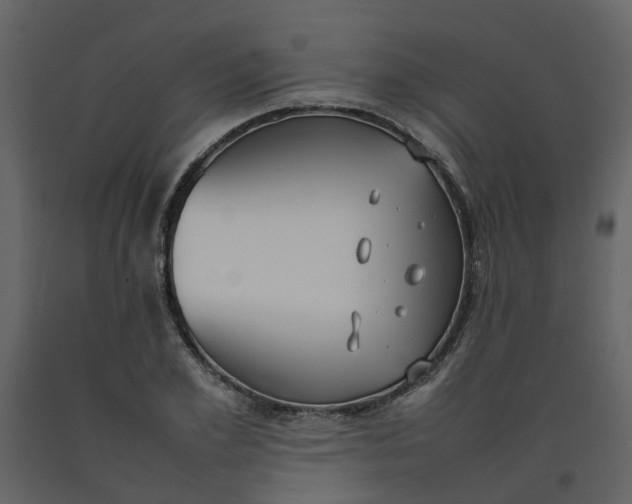 X0000092240981200710051235