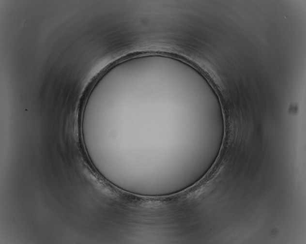 X0000092240982200710051235