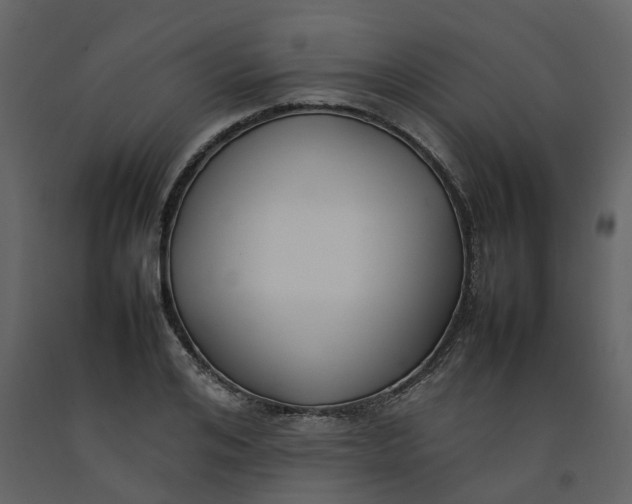 X0000092240984200710051235