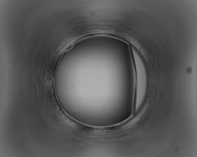 X0000092240985200710051235