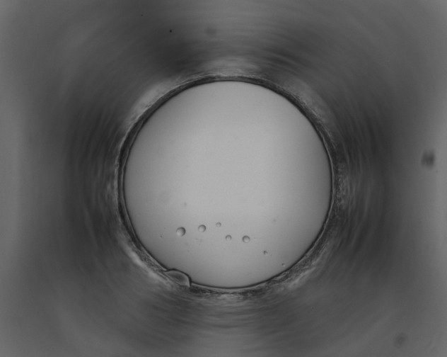 X0000092240986200710051235